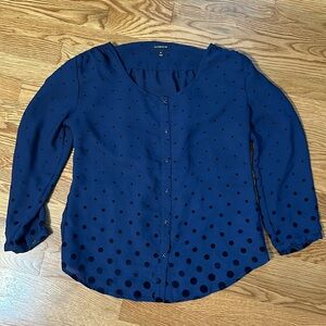 Lands end blue blouse